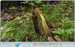 0_105fb6_9285086f_orig.png