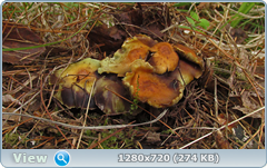 0_107409_a9b4b289_orig.png
