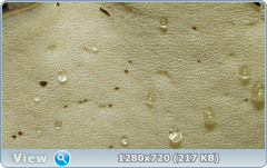 0_109807_59fc77c5_orig.png