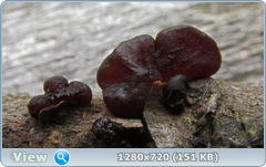 0_10fa90_9a0b181b_orig.png