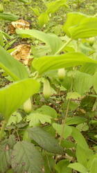 0_941b9_e64ce11c_M.jpg.jpg