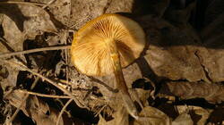 0_92dd1_eeca0593_-1-L.jpg.jpg