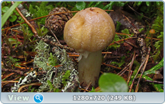 0_eb1fe_399fa32d_orig.png