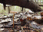 0_b876f_d5c75cff_S.jpg