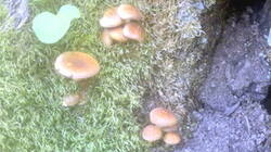 0_94b00_21c32b52_M.jpg