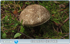 0_efe7b_2f2b92f0_orig.png