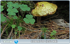 0_e9349_448ed9f1_orig.png