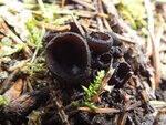 0_b8774_e291ebb3_S.jpg