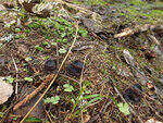0_b879c_7f418b60_S.jpg