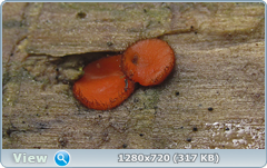 0_e90fa_c0d5534e_orig.png