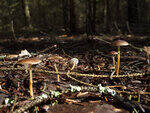 0_b8770_80d30cd0_S.jpg