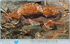 0_f566c_748b60e2_orig.png