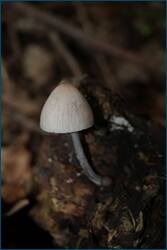 0_d09c0_f27577a1_orig.jpg