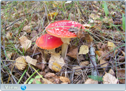 0_f40b4_19a349c9_orig.png