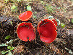 0_b87ac_2aa69827_S.jpg
