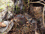 0_b879e_5f594d79_S.jpg
