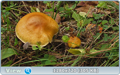 0_ef6ab_f788cd3_orig.png