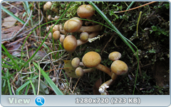 0_f200c_88b78010_orig.png