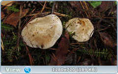 0_f2754_1408b223_orig.png
