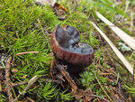 0_b8788_bf5a6b89_S.jpg