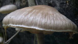 0_941e8_d8632376_M.jpg.jpg