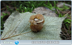 0_109821_5de1da1c_orig.png