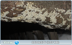 0_11cd44_ad734bee_orig.png