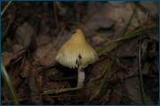 0_d09fc_ee880d3e_orig.jpg