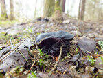 0_b87a3_4b55478c_S.jpg