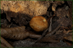 0_d8b8d_56c2918d_orig.png