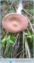 0_f10c7_1c781239_orig.png