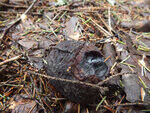 0_b8799_2e52f6ce_S.jpg