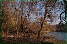 0_c5d75_be2a1136_orig.jpg