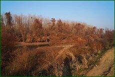 0_c5d95_98475b37_orig.jpg