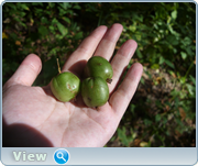 0_130baf_b479cc6c_orig.png