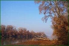 0_c5d69_6a8b0d22_orig.jpg