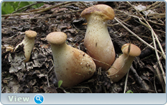 0_e572e_f6b2a3e5_orig.png