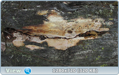 0_ef3aa_2cf8e560_orig.png