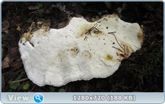 0_114202_9f376886_orig.png