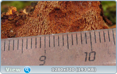 0_115070_2c559a88_orig.png