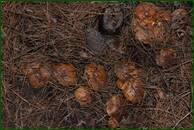 0_ef6b7_2321f661_orig.jpg
