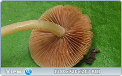 0_107078_2949f27d_orig.png