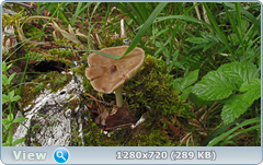 0_1096ae_ab466814_orig.png