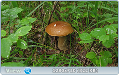 0_10a68d_e5d689e1_orig.png