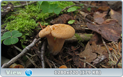 0_10b25e_853373c6_orig.png