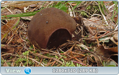 0_103e70_52129bd5_orig.png