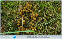 0_109737_c2bfa91b_orig.png