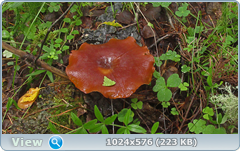 0_12afe2_a2a4f973_orig.png