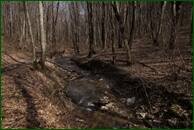 0_f486d_da662171_orig.jpg