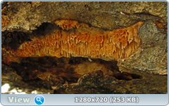 0_102080_e5b7ce9e_orig.png